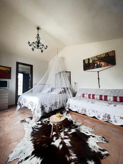 Montenero Val Cocchiara Il Borgo Della Zittolaヴィラ エクステリア 写真